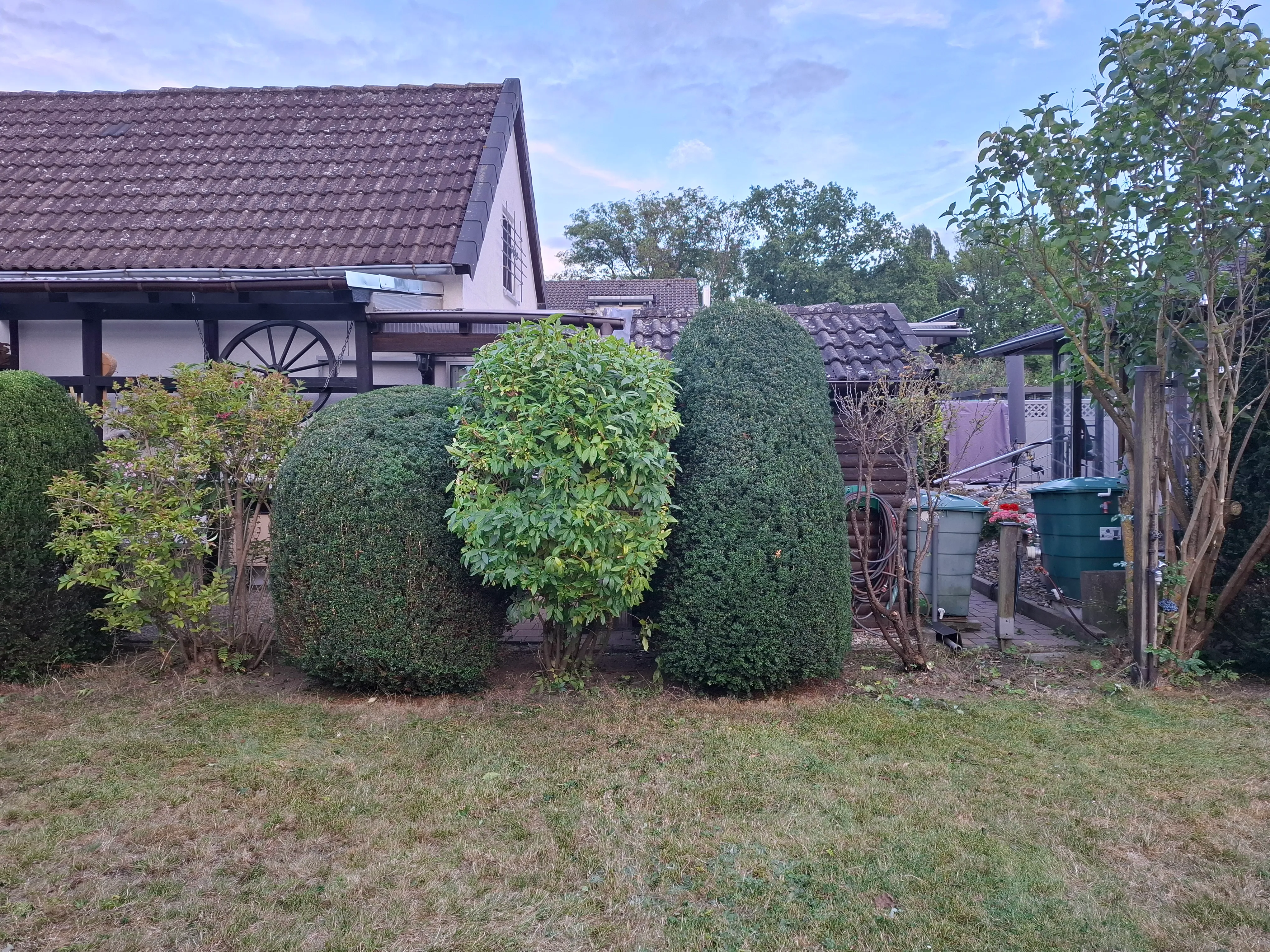 Heckenschnitt - Nachher