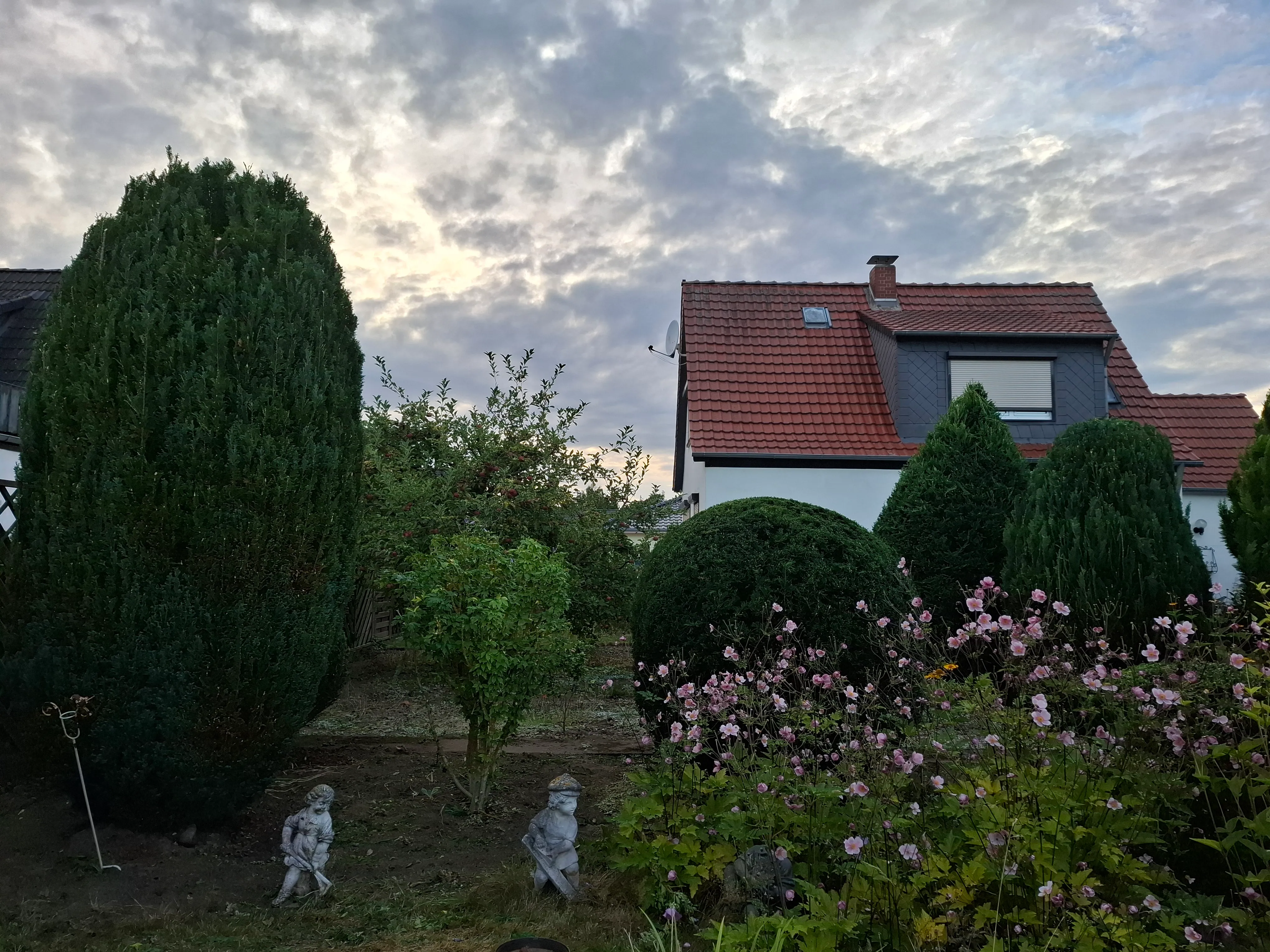 Heckenschnitt - Nachher