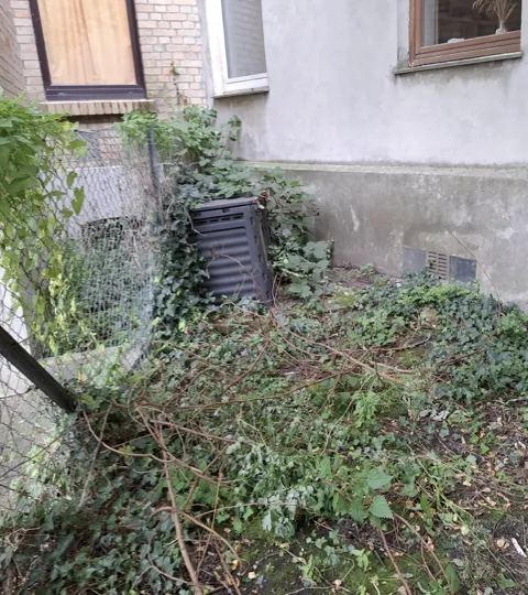 Unkrautentfernen - Vorher