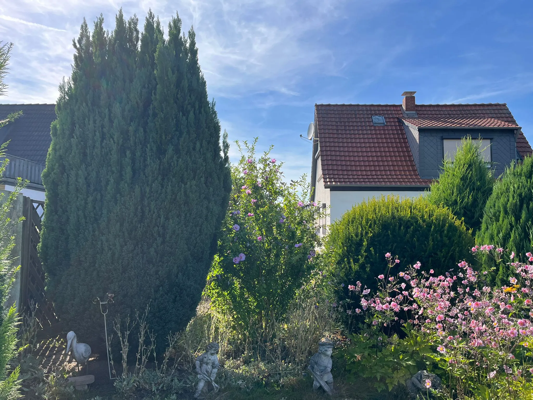 Heckenschnitt - Vorher